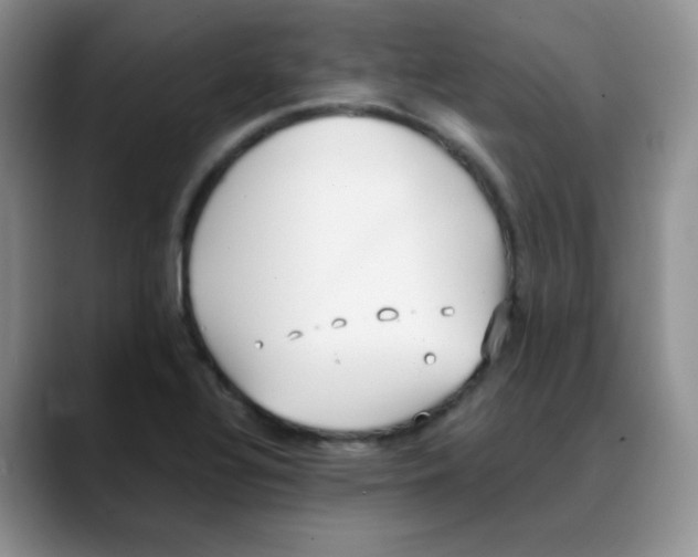 X0000088051320200706081621