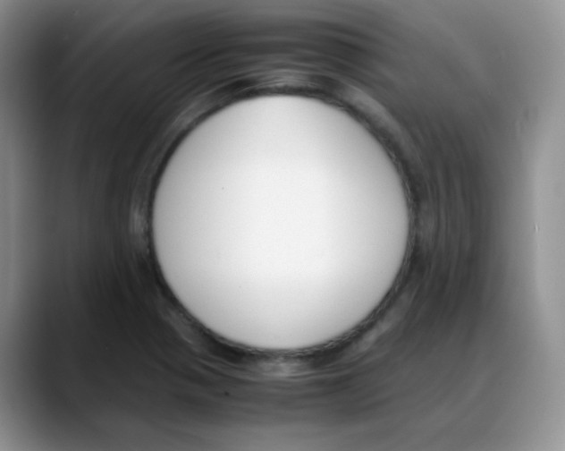 X0000088051321200706081621