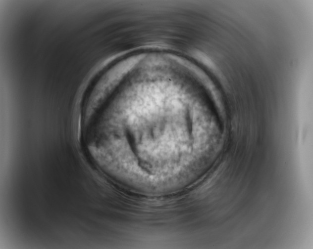 X0000088051323200706081621