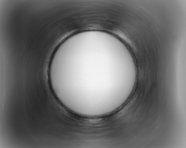 X0000088051325200706081621