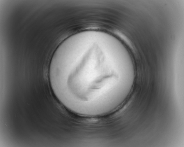 X0000088051329200706081621