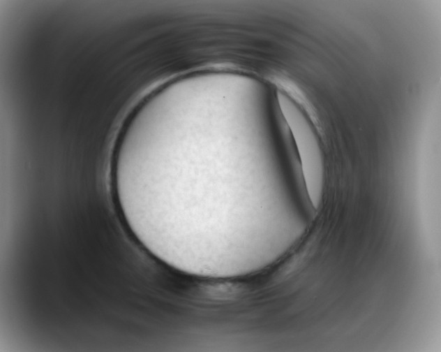 X0000088051331200706081621