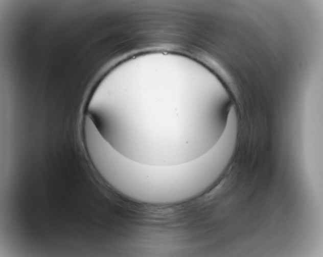 X0000088051332200706081621