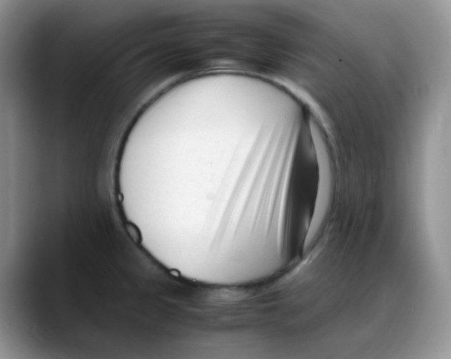 X0000088051333200706081622