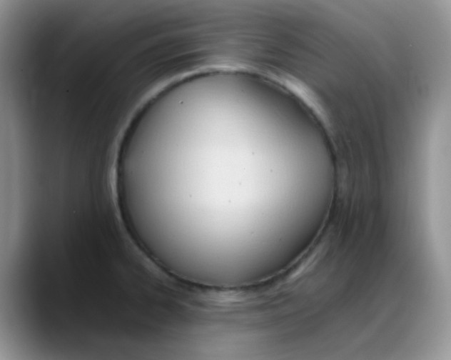 X0000088051334200706081622