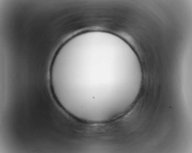 X0000088051335200706081622