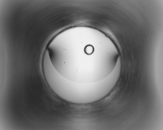 X0000088051336200706081622
