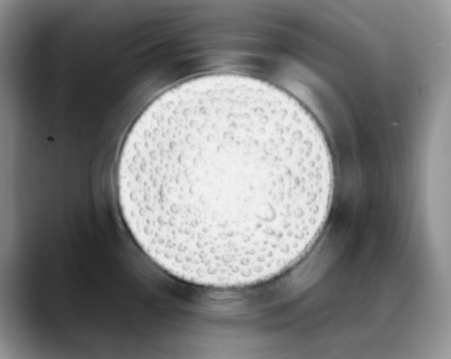 X0000088051338200706081622