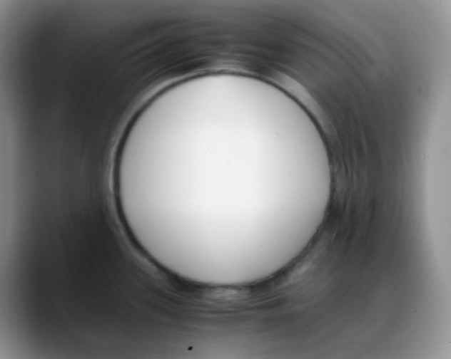 X0000088051339200706081622