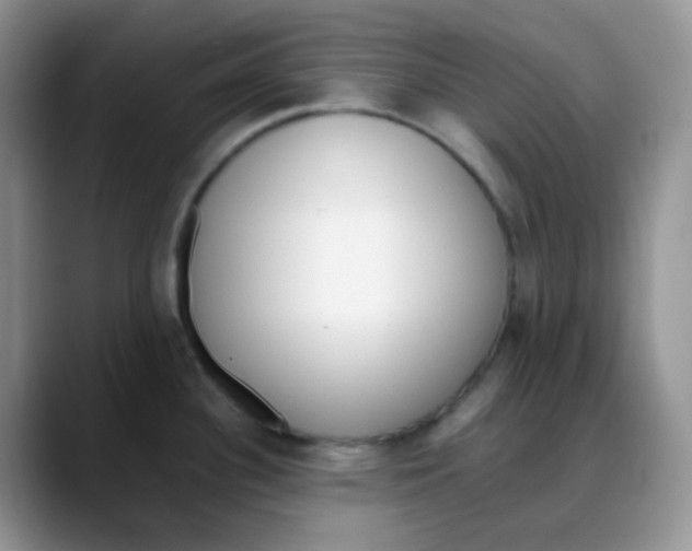 X0000088051340200706081622