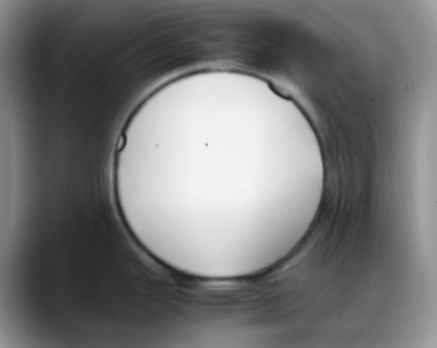 X0000088051343200706081622