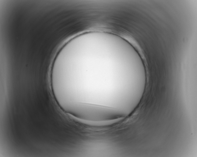 X0000088051344200706081622