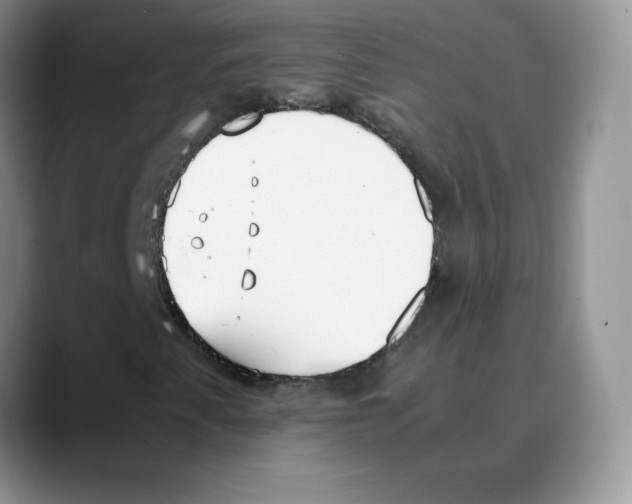 X0000088051345200706081621