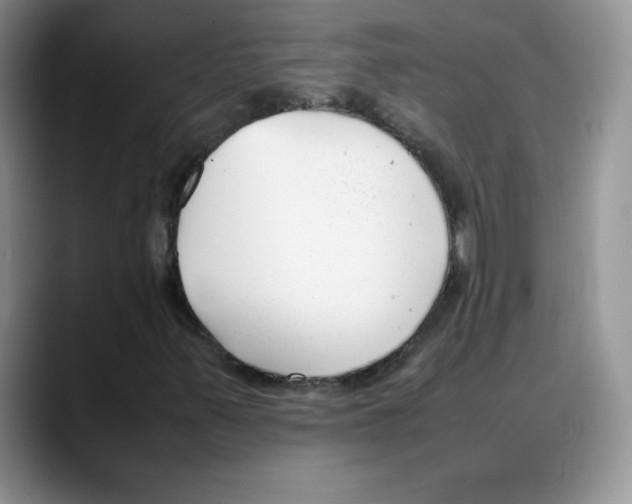X0000088051347200706081621