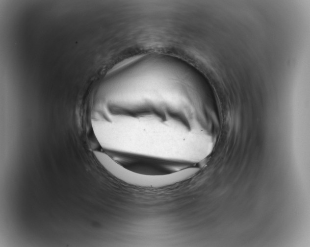 X0000088051348200706081621