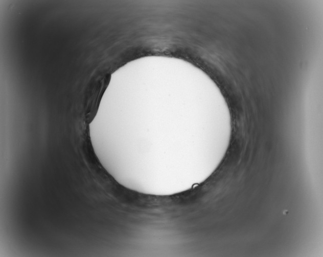 X0000088051349200706081621