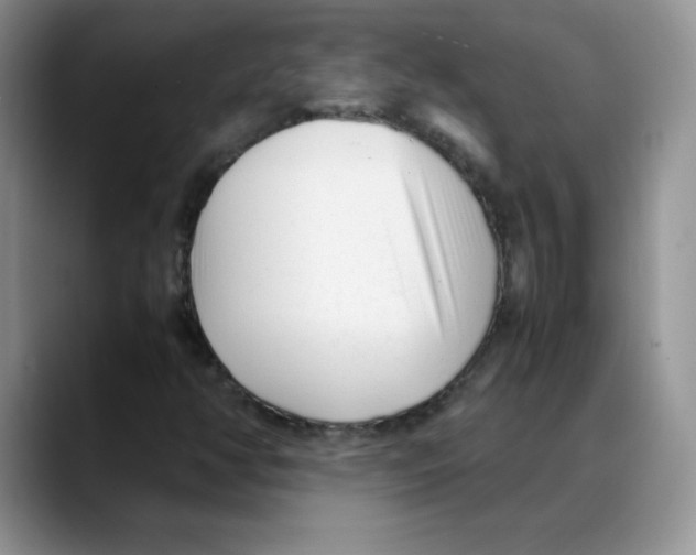 X0000088051350200706081621