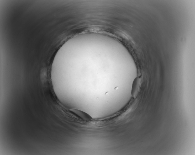 X0000088051353200706081621
