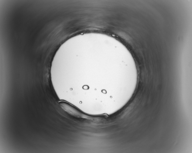 X0000088051355200706081621