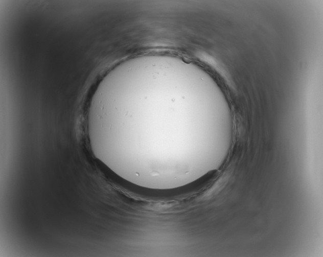 X0000088051357200706081621
