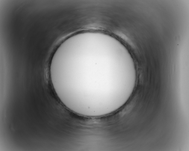 X0000088051358200706081621