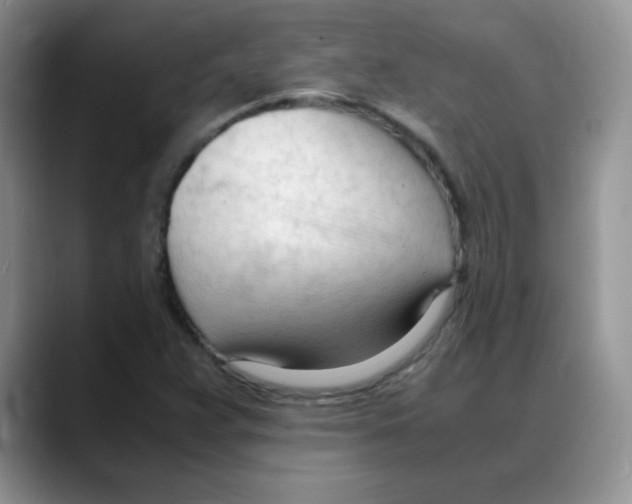 X0000088051359200706081621