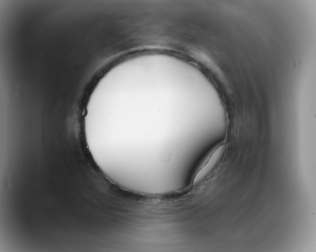 X0000088051360200706081621