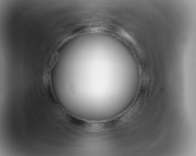 X0000088051361200706081621
