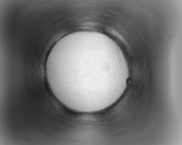 X0000088051362200706081621