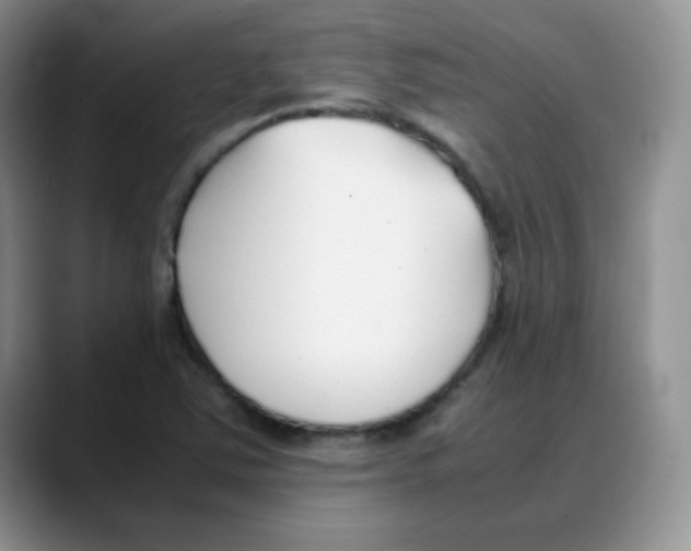 X0000088051363200706081621