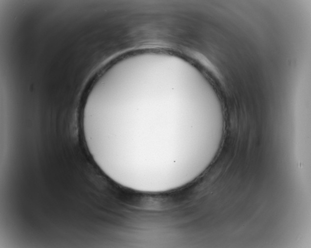 X0000088051364200706081621