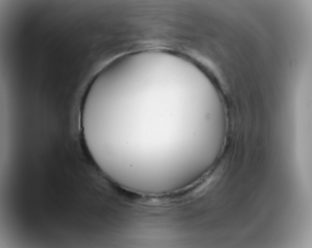 X0000088051365200706081621