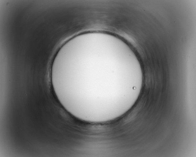 X0000088051366200706081621