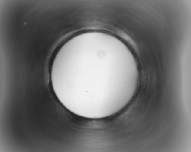 X0000088051368200706081621
