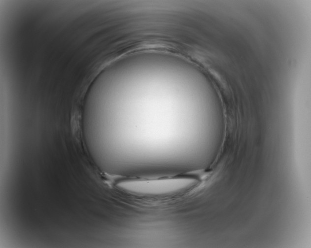 X0000088051369200706081621