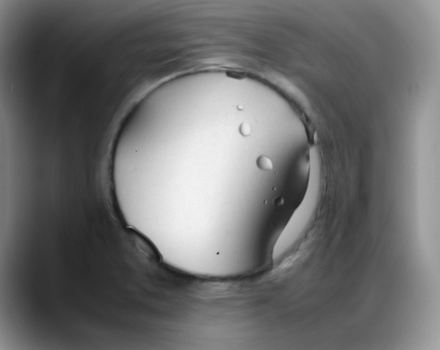 X0000088051373200706081621