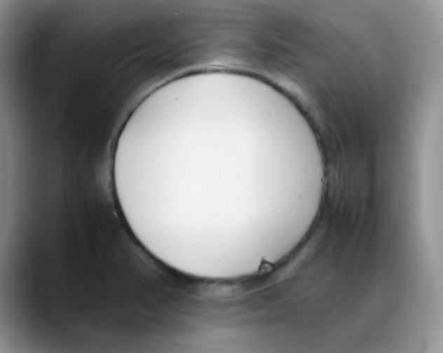 X0000088051374200706081621