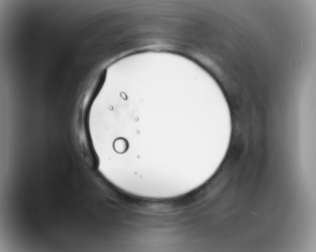 X0000088051375200706081621