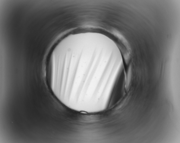 X0000088051376200706081621