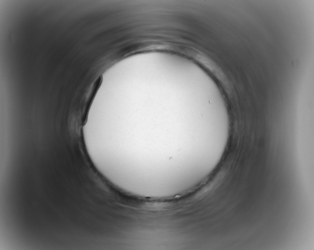 X0000088051377200706081621