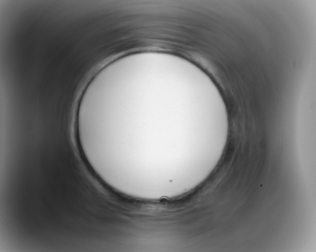 X0000088051379200706081621