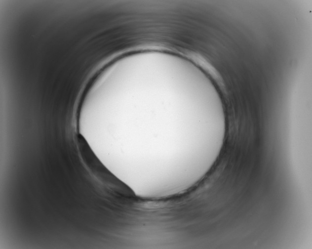 X0000088051380200706081621