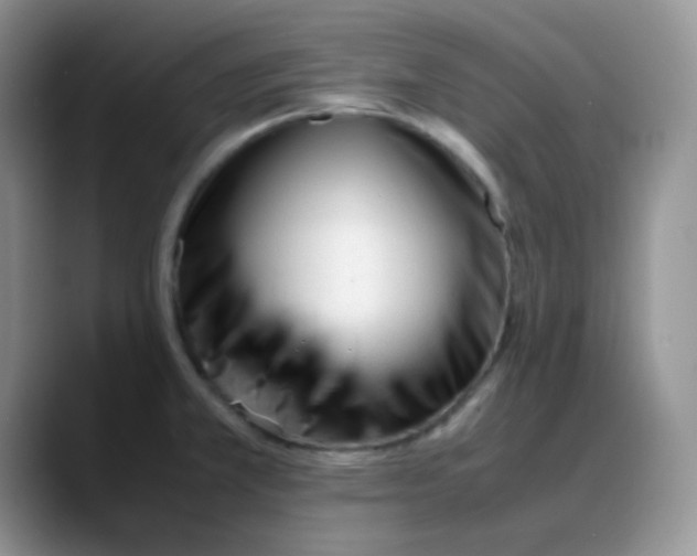 X0000088051381200706081621