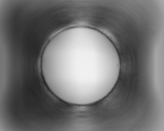 X0000088051382200706081621