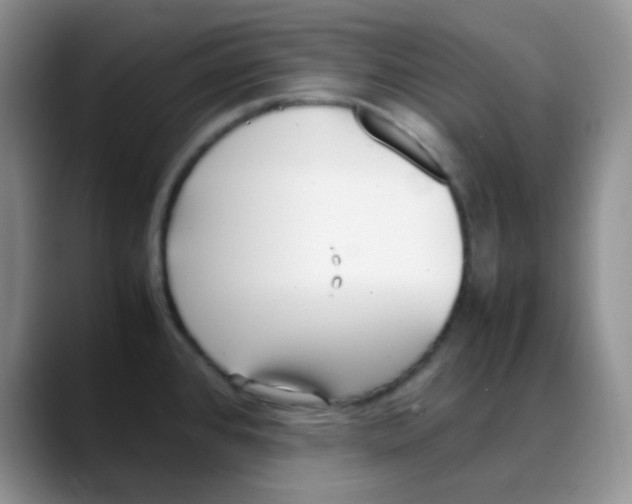 X0000088051384200706081621