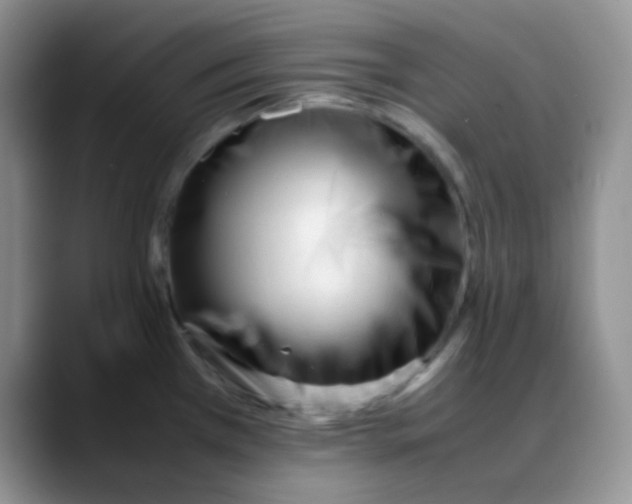 X0000088051385200706081621