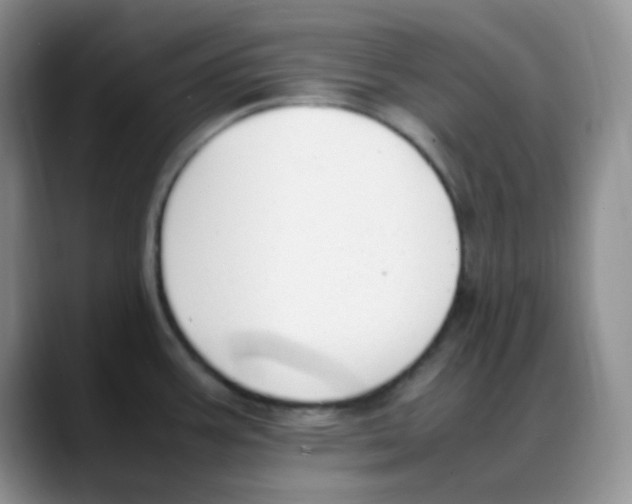 X0000088051387200706081620