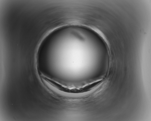 X0000088051389200706081620