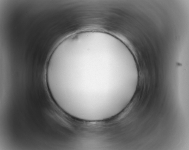 X0000088051390200706081620