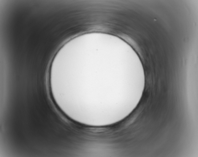 X0000088051391200706081620